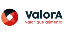 Grupo Valora Logo
