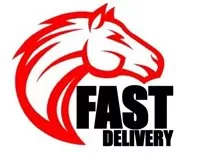 FAST DELIVERY NET E.I.R.L. Logo