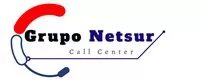 GRUPO NETSUR Logo