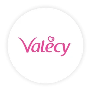 Inversiones valecy shop sac