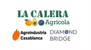 AGROINDUSTRIA CASABLANCA S.A.C.