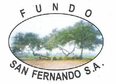 Fundo San Fernando S.A.