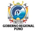 GOBIERNO REGIONAL PUNO