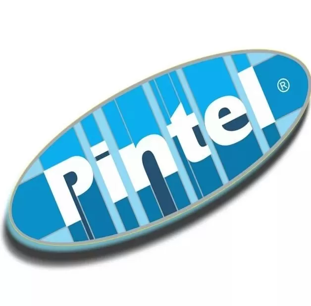 Distribuidora Pintel SAC Logo