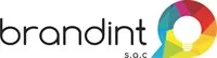 BRANDINT Logo