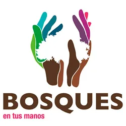 PROGRAMA BOSQUES