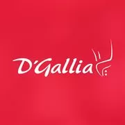 Instituto de Alta Cocina D'Gallia Logo