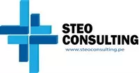 GRUPO STEO Logo