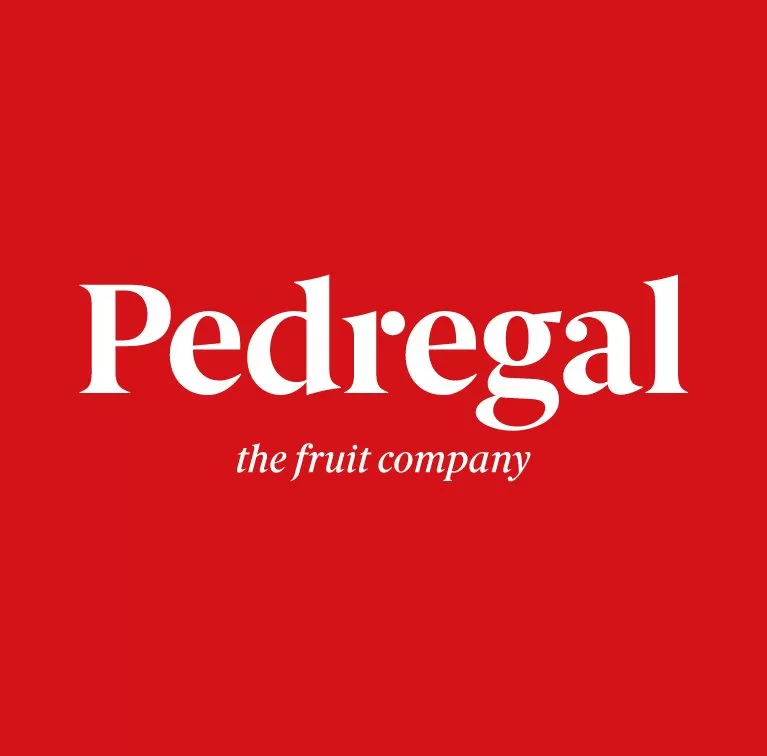 El Pedregal Logo