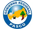 GOBIERNO REGIONAL PASCO