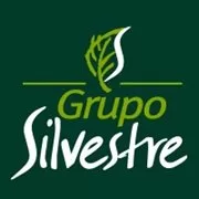 Grupo Silvestre