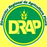 DIRECCION REGIONAL AGRICULTURA PIURA