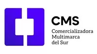 CMS DEL SUR SAC