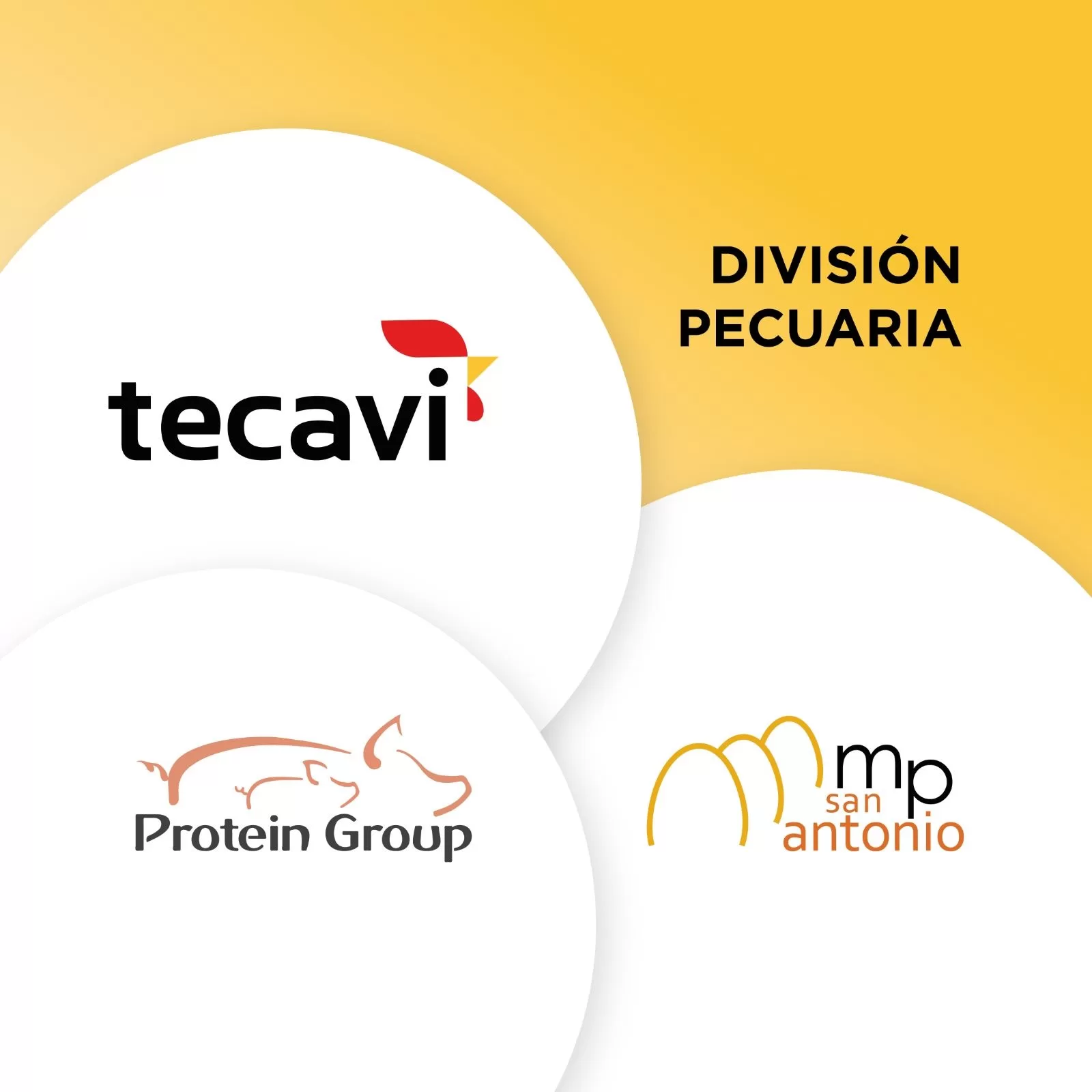 Técnica Avícola S.A. Logo