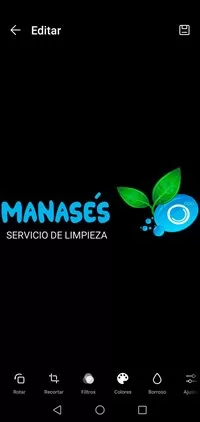 MANASES Logo
